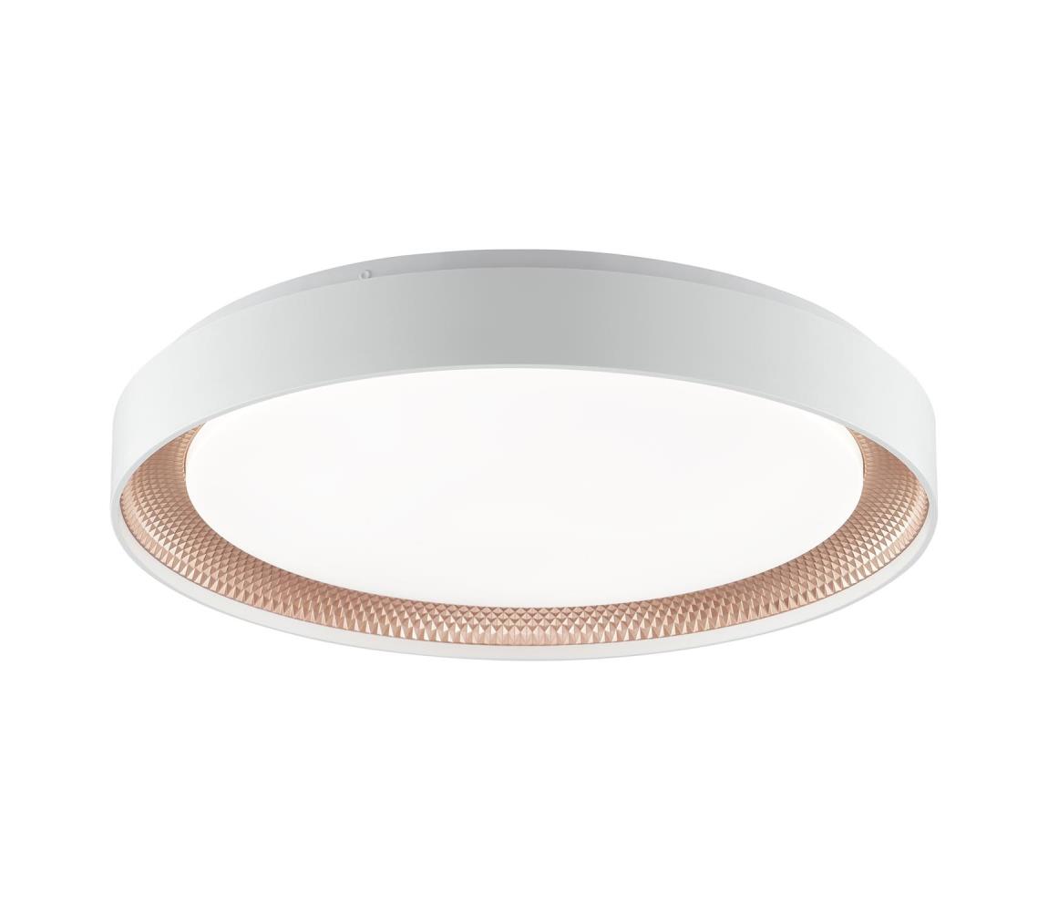 Brilliant - Stmievateľné LED stropné svietidlo WALDO LED/36W/230V biela/ružové zlato + diaľkový ovládač G82016/85