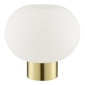 Brilliant - Stolná lampa FANNY 1xE27/20W/230V mosadz
