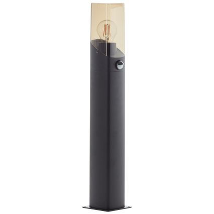 Brilliant - Vonkajšia lampa so senzorom MINOU 1xE27/10W/230V IP44 čierna/dymová