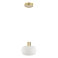 Brilliant - Závesný luster na lankách FANNY 1xE27/20W/230V priemer 22 cm mosadz