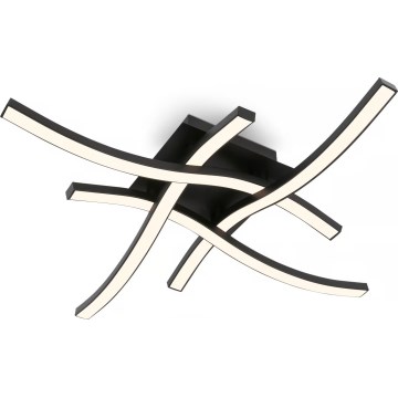 Brilo 3677-045 - LED Stropné svietidlo LED/14,4W/230V čierne