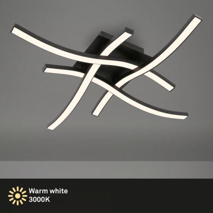 Brilo 3677-045 - LED Stropné svietidlo LED/14,4W/230V čierne