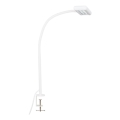 Brilo - LED Flexibilná stolná lampa s klipom TRASNA LED/7,5W/230V biela