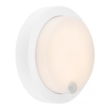 Brilo - LED nabíjacie vonkajšie nástenné svietidlo s pohybovým senzorom LED/4W/5V 4400 mAh IP44 biela