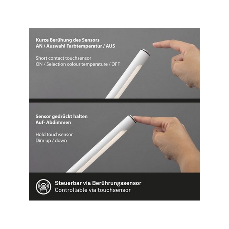 Brilo - LED Stmievateľná dotyková stolná lampa EVERYWHERE LED/1,5W/5V 3000-6500K