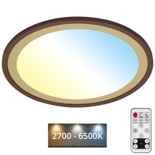 Brilo - LED Stmievateľné stropné svietidlo SLIM LED/22W/230V 2700-6500K + diaľkové ovládanie