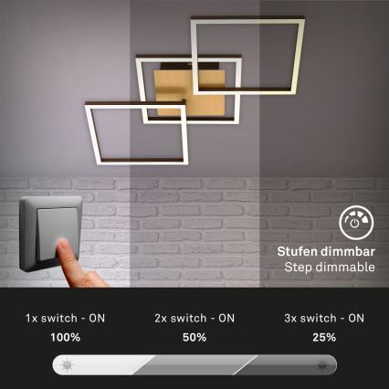 Brilo - LED Stmievateľný prisadený luster FRAME LED/30W/230V