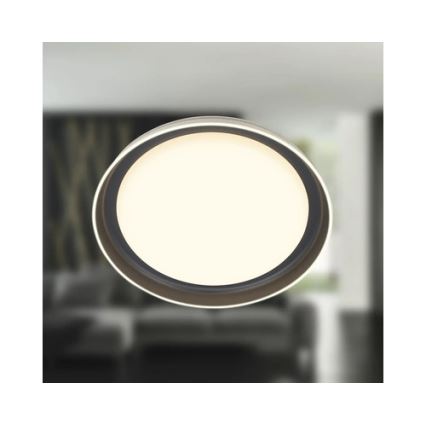 Brilo - LED stropné svietidlo IJUS LED/24W/230V 3000K Ø 43 cm