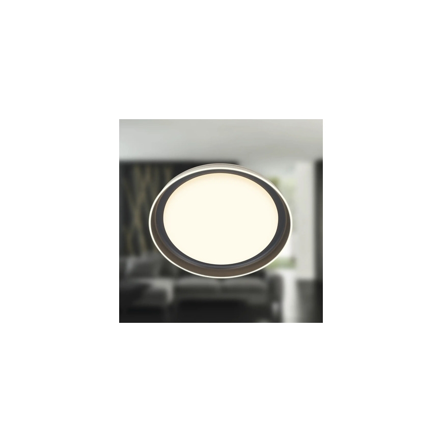 Brilo - LED stropné svietidlo IJUS LED/24W/230V 3000K Ø 43 cm