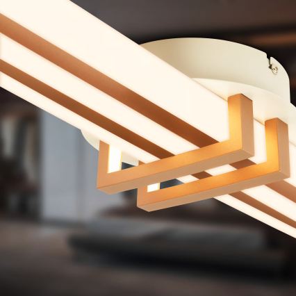 Brilo - LED stropné svietidlo TINKA LED/30W/230V 3000K medené