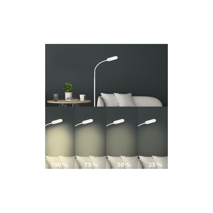 Briloner 1297-016 - LED Stmievateľná dotyková stojacia lampa LED/8W/230V 3000/4000/6000K