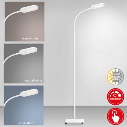 Briloner 1297-016 - LED Stmievateľná dotyková stojacia lampa LED/8W/230V 3000/4000/6000K