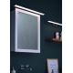 Briloner 2060-018 - LED Kúpeľňové osvetlenie zrkadla SPLASH LED/10W/230V IP23