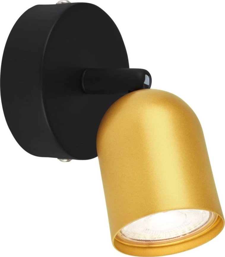 Briloner 2145-017 - Nástenné bodové svietidlo 1xGU10/9W/230V