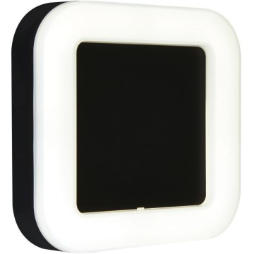 Briloner 3034-015 - LED Vonkajšie nástenné svietidlo LED/15W/230V 4000K