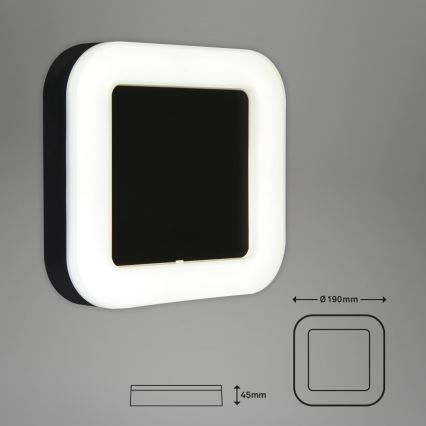 Briloner 3034-015 - LED Vonkajšie nástenné svietidlo LED/15W/230V 4000K