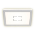 Briloner 3174-014 - LED Stropné svietidlo FREE LED/12W/230V 19x19 cm
