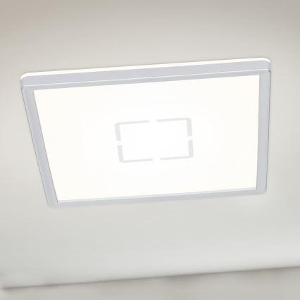 Briloner 3174-014 - LED Stropné svietidlo FREE LED/12W/230V 19x19 cm