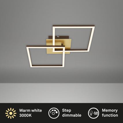 Briloner 3210-017 - LED Stmievateľné stropné svietidlo FRAME 2xLED/11W/230V zlatá
