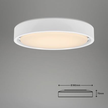 Briloner 3227-016 - LED RGB Stmievateľné svietidlo so senzorom TALENA LED/24W/230V biela + diaľkové ovládanie