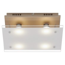 Briloner 3586-047 - LED Stropné svietidlo SMART GOLD 4xGU10/4W/230V
