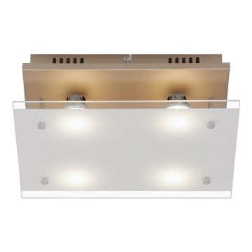 Briloner 3586-047 - LED Stropné svietidlo SMART GOLD 4xGU10/4W/230V