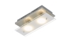 Briloner 3596-022 - LED Stropné svietidlo TELL 2xGU10/3W/230V