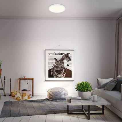 Briloner 3704-016 - LED Stmievateľné stropné svietidlo RUNA LED/22W/230V 2700-6500K biela + diaľkové ovládanie