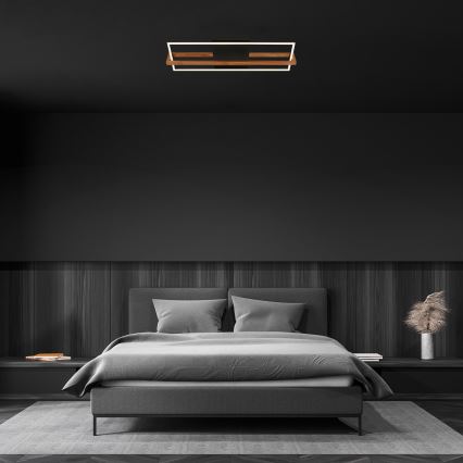 Briloner 3777-015 - LED stropné svietidlo FRAME LED/21W/230V 3000K