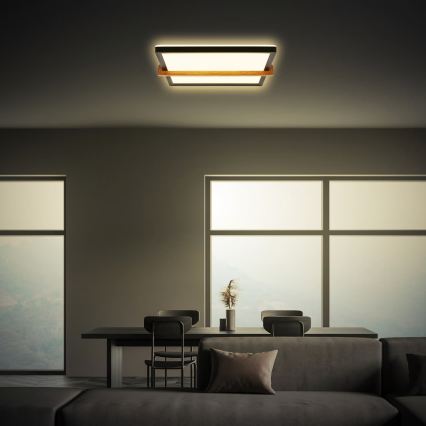 Briloner 3845015 - LED Stropné svietidlo LED/18W/230V 29,5x31,5 cm