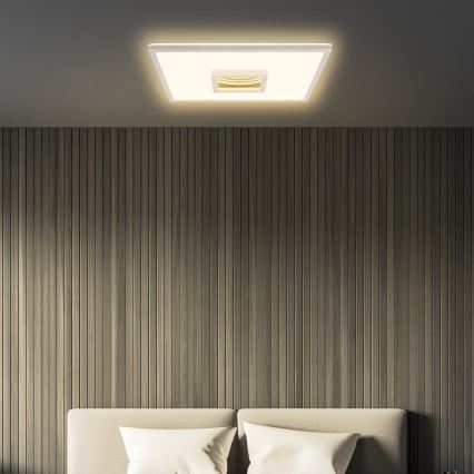 Briloner 3848014 - LED stropné svietidlo TORO LED/18W/230V 42x42 cm matný chróm