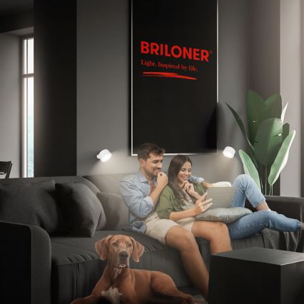 Briloner 3896016 - LED stmievateľné nabíjacie nástenné svietidlo TARI LED/1,6W/5V 1500 mAh biela