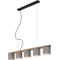 Briloner 4075-054 - Závesný luster RHON na lankách 5xE14/25W/230V