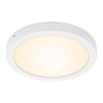 Briloner 7141-016 - LED Stropné svietidlo FIRE LED/21W/230V