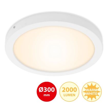 Briloner 7141-016 - LED Stropné svietidlo FIRE LED/21W/230V