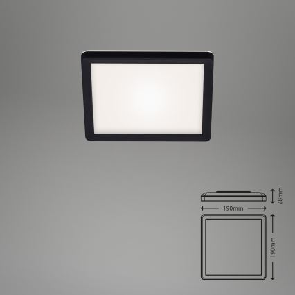 Briloner 7153-415 - LED Stropné svietidlo SLIM LED/12W/230V 19x19 cm