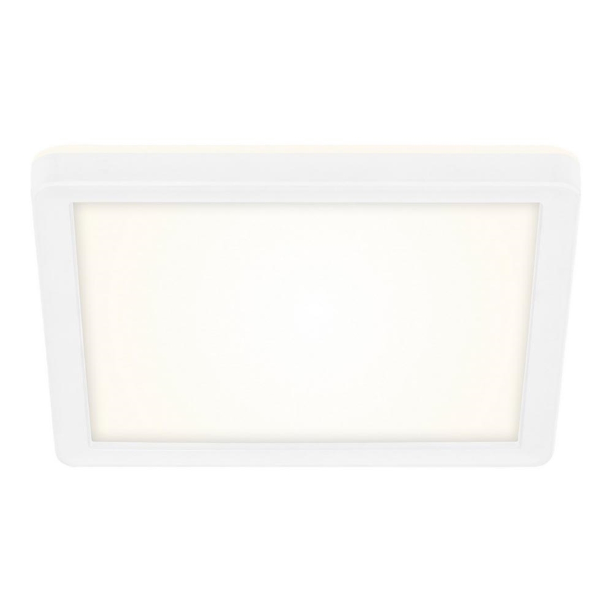 Briloner 7153-416 - LED Stropné svietidlo SLIM LED/12W/230V