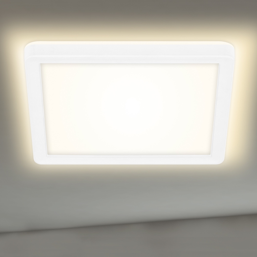 Briloner 7153-416 - LED Stropné svietidlo SLIM LED/12W/230V