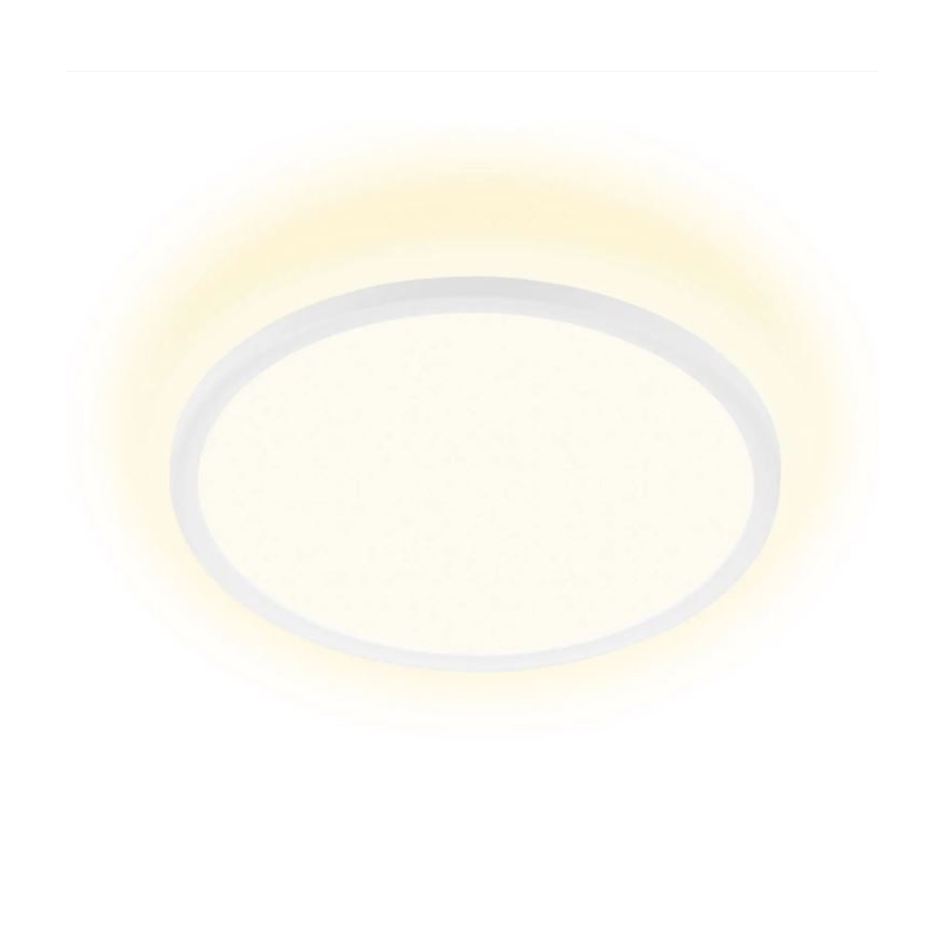 Okrúhle stropné svietidlo svieti na bielom pozadí. Svetlo vyžaruje teplú bielu farbu. Svietidlo má biely okrúhly rámik.