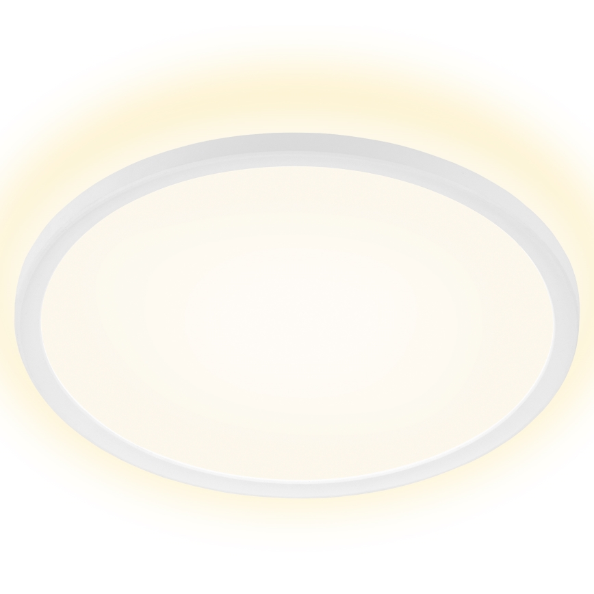 Briloner 7157-416 - LED Stropné svietidlo SLIM LED/22W/230V pr. 42 cm