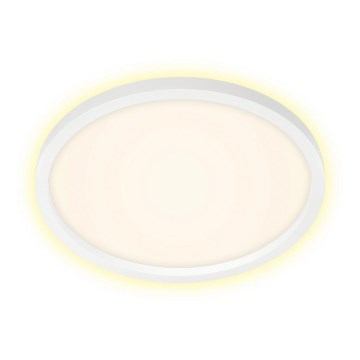 Briloner 7363-016 - LED Stropné svietidlo CADRE LED/22W/230V pr. 42,5 cm biela