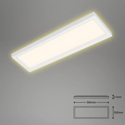 Briloner 7365-016 - LED Stropné svietidlo CADRE LED/22W/230V 58,2x20,2 cm biela