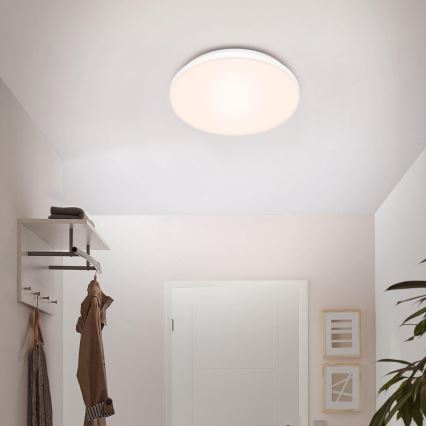 Briloner 7377-016 - LED Stmievateľné stropné svietidlo LED/12W/230V 3000-6500K + diaľkové ovládanie