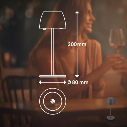 Briloner - LED stlmiteľná nabíjateľná dotyková vonkajšia stolová lampa MINI LED/2,5W/5V IP44 1800 mAh antracit