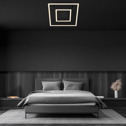 Briloner - LED stropné svietidlo FRAME LED/22W/230V 3000K 30x32 cm čierna