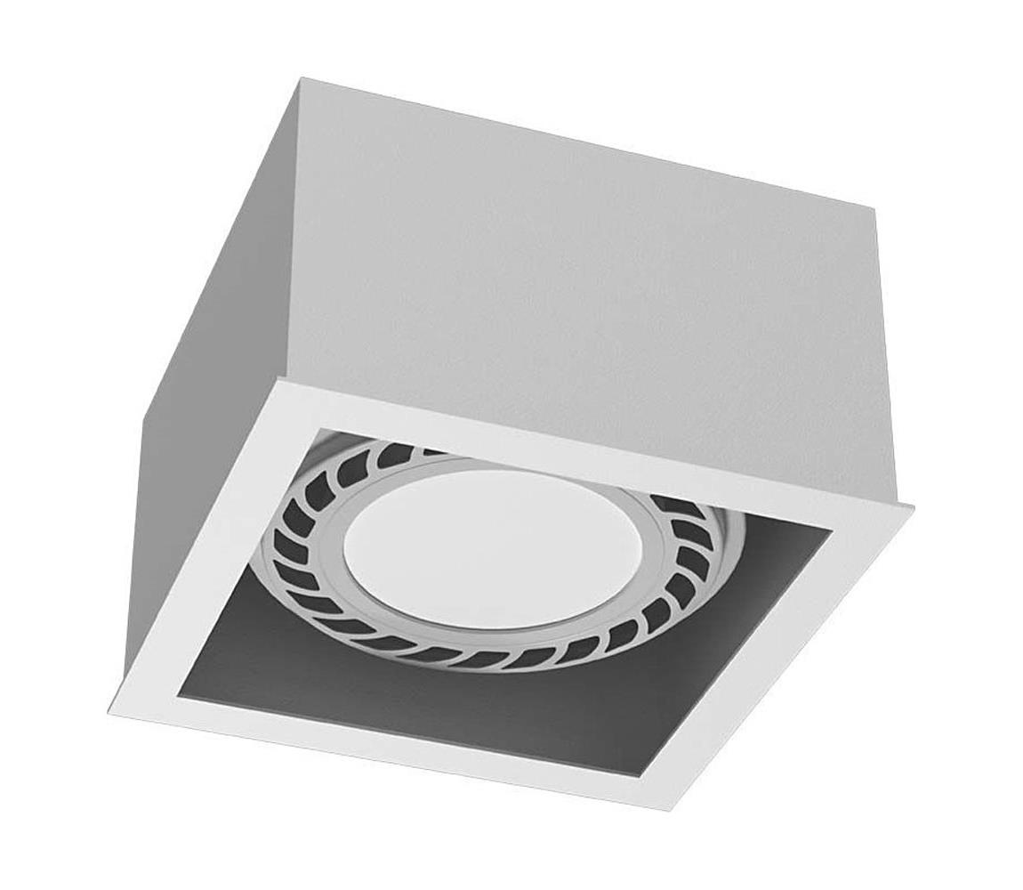 - Brosline 1272 - Bodové svietidlo CAGE 1xGU10/18W/230V biele 1272