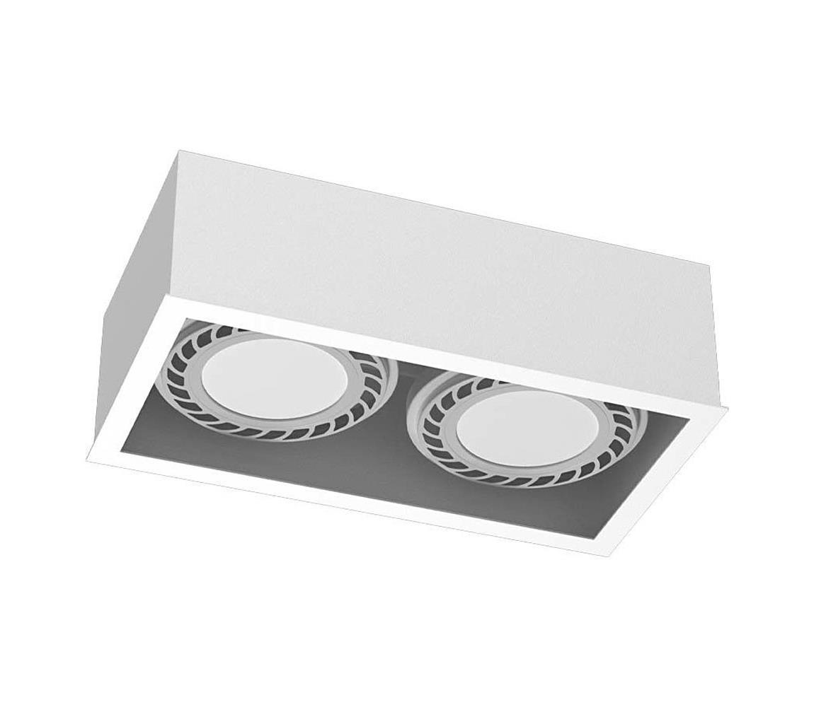 - Brosline 1274 - Bodové svietidlo CAGE 2xGU10/18W/230V biela 1274