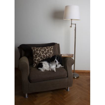 ByRydens - LED Stojacia lampa ORLANDO 1xE27/5W/230V + LED/3W biela/bronz pr. 36 cm