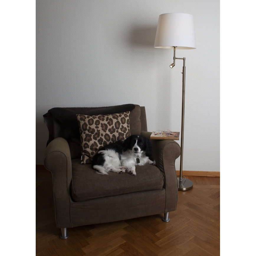 ByRydens - LED Stojacia lampa ORLANDO 1xE27/5W/230V + LED/3W biela/bronz pr. 36 cm