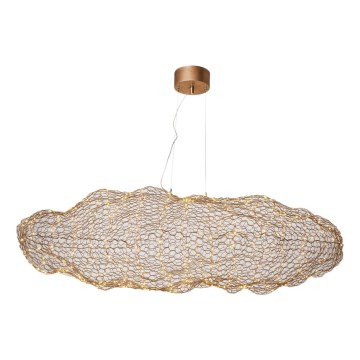 ByRydens - LED Luster na lanku HAYDEN LED/20W/230V zlatá